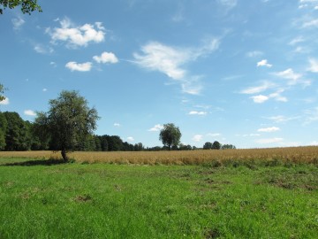 krajobraz w Dąbrówce Małej, fot. M. Majda, 